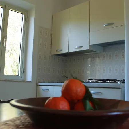 Rena Garden سانتا تيريزا غالّورا